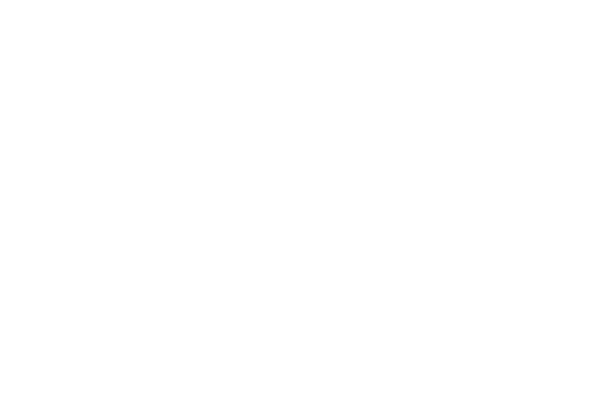 Anabel's Angels